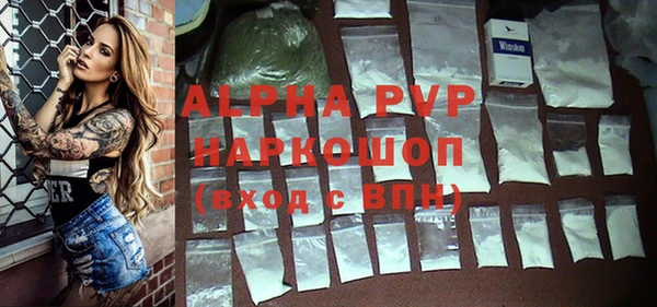 сатива Алзамай