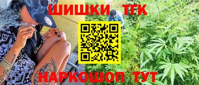 индика Гай