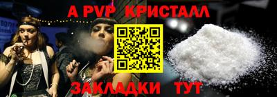 индика Гай
