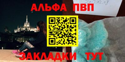 индика Гай