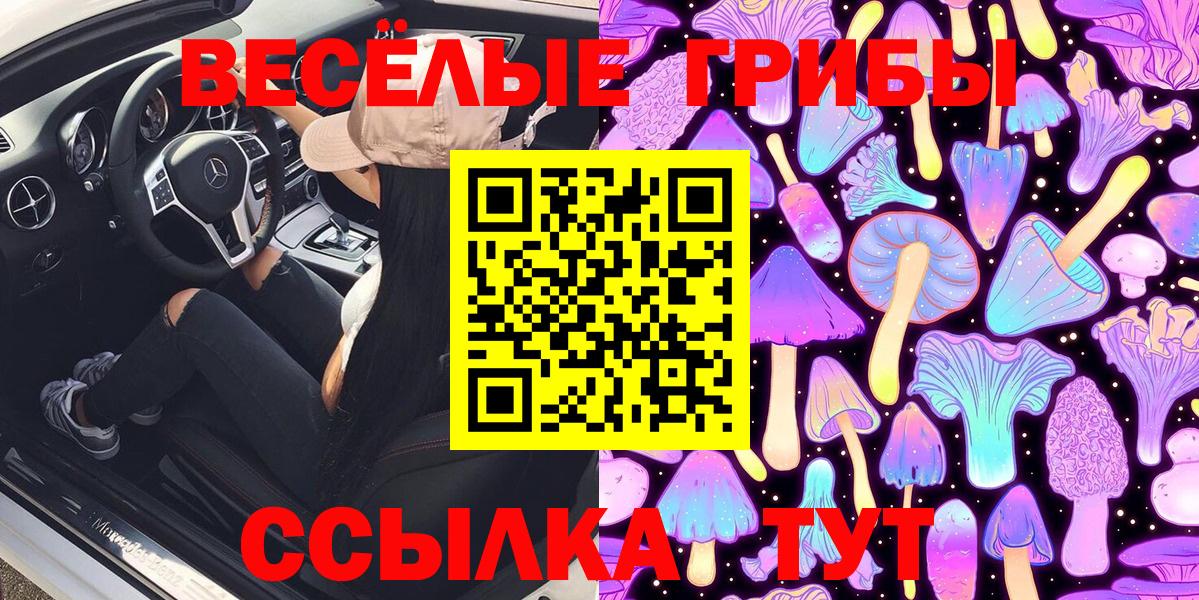 Псилоцибиновые грибы Psilocybe Бердск
